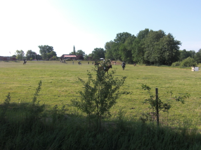 RTF Lueneburg Rocky 007